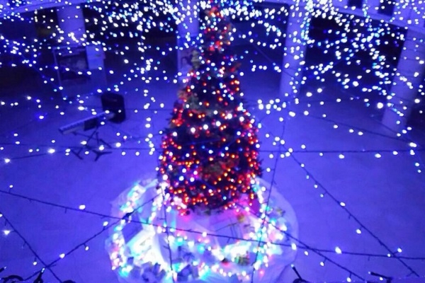 tree_1.jpg