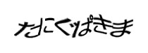 認証画像
